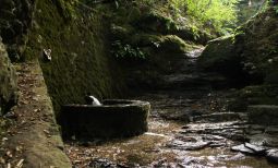 La fonte Regina è una sorgente con acqua perennemente fredda con origini risalenti all'epoca romana.